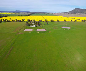 Rural / Farming commercial property sold at 'Woodlands" 238 Gap Road Grenfell NSW 2810