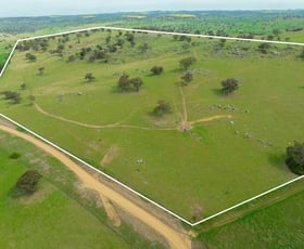 Rural / Farming commercial property for sale at Cemetery Road Murrumburrah NSW 2587