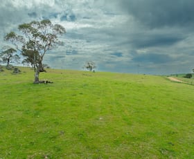 Rural / Farming commercial property for sale at Cemetery Road Murrumburrah NSW 2587
