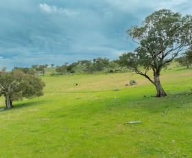 Rural / Farming commercial property for sale at Cemetery Road Murrumburrah NSW 2587