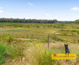 Rural / Farming commercial property for sale at 249 Spring Ridge Road Dunedoo NSW 2844