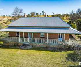 Rural / Farming commercial property sold at 650 Buckajo Road Buckajo NSW 2550