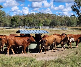 Rural / Farming commercial property for sale at 789 Coppin Road Mungungo QLD 4630