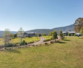 Rural / Farming commercial property for sale at 70 Bowdens Lane Stroud NSW 2425