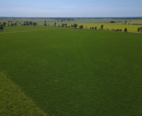 Rural / Farming commercial property sold at 140 Amors Lane Forbes NSW 2871
