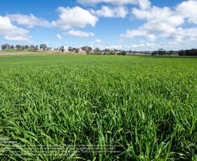 Rural / Farming commercial property for sale at 4572 Renshaw McGirr Way North Yeoval NSW 2868