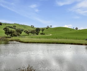 Rural / Farming commercial property for sale at 146 Hobans Road Alexandra VIC 3714