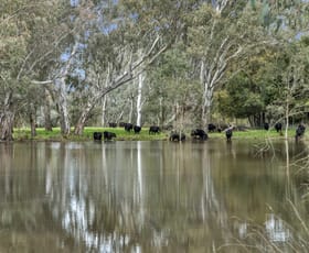 Rural / Farming commercial property for sale at 146 Hobans Road Alexandra VIC 3714