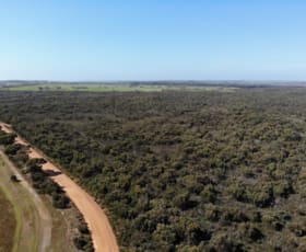 Rural / Farming commercial property for sale at Gosse SA 5223