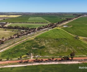 Rural / Farming commercial property sold at 220 Walker Road Wadderin WA 6369