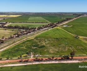 Rural / Farming commercial property for sale at 220 Walker Road Wadderin WA 6369