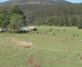 Rural / Farming commercial property for sale at 529 Farm Road Bonalbo NSW 2469