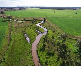 Rural / Farming commercial property for sale at "Springvale" 402 Kerriwah Road Tullamore NSW 2874