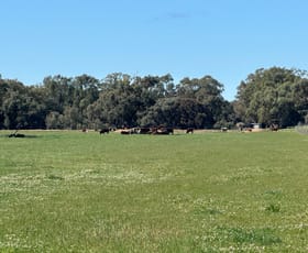 Rural / Farming commercial property sold at 00 Cullen Park Road Cohuna VIC 3568
