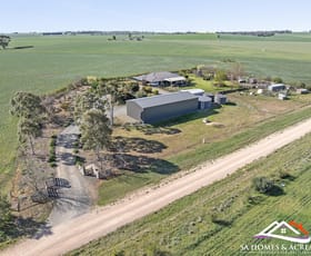 Rural / Farming commercial property sold at 45 Lange Road Freeling SA 5372