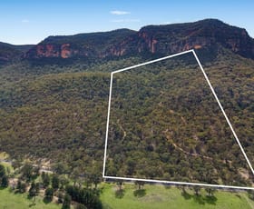 Rural / Farming commercial property for sale at 4 Glen Davis Road Glen Davis NSW 2846