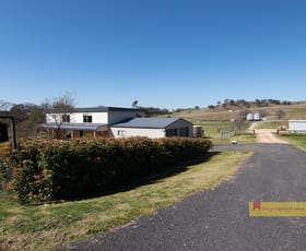 Rural / Farming commercial property for sale at 2778 Ulan Road Mudgee NSW 2850 Rural / Farming commercial property for sale at 2778 Ulan Road Mudgee NSW 2850