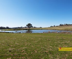 Rural / Farming commercial property for sale at 2778 Ulan Road Mudgee NSW 2850