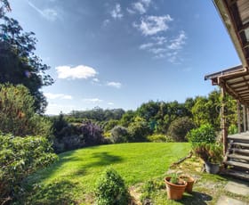 Rural / Farming commercial property sold at Dorrigo NSW 2453