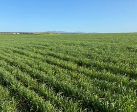 Rural / Farming commercial property sold at 65 Wylie Road Wanilla SA 5607