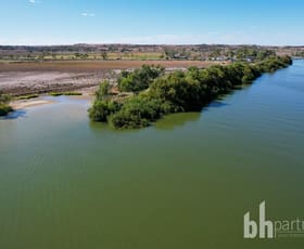 Rural / Farming commercial property for sale at 4 Salisbury Road Mannum SA 5238