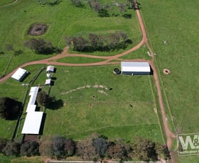 Rural / Farming commercial property for sale at 83 Lilydale Road Youngs Siding WA 6330