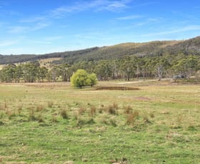 Rural / Farming commercial property for sale at 180 Pacific Highway Ourimbah NSW 2258
