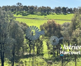 Rural / Farming commercial property for sale at 95 Granite Road Lurg VIC 3673