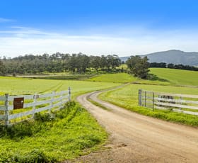Rural / Farming commercial property for sale at 126 Orielton Road Orielton TAS 7172