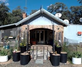 Rural / Farming commercial property for sale at 688 Mount Hutton Road Greenlands QLD 4380