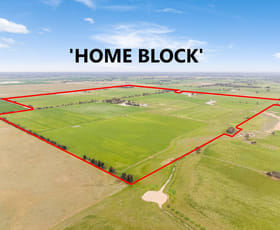 Rural / Farming commercial property for sale at 597 Echuca West School Road Echuca VIC 3564