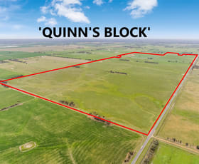 Rural / Farming commercial property for sale at Echuca-Mitiamo Road Echuca VIC 3564