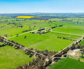 Rural / Farming commercial property for sale at 'Sunrise'/166 Wenkes Rd Walla Walla NSW 2659