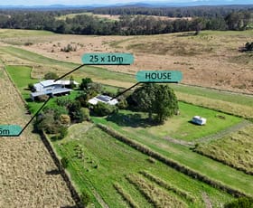 Rural / Farming commercial property for sale at 557 Jocks Road Collombatti NSW 2440