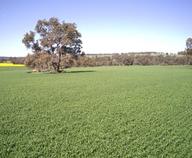 Rural / Farming commercial property for sale at Lot 51 Jingalup Road Kojonup WA 6395