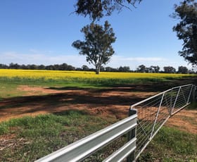 Rural / Farming commercial property for sale at Lot 155 DP750852 Burley Griffin Way Ariah Park NSW 2665