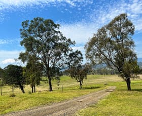 Rural / Farming commercial property for sale at 10350 Mt Lindesay Hwy Rathdowney QLD 4287