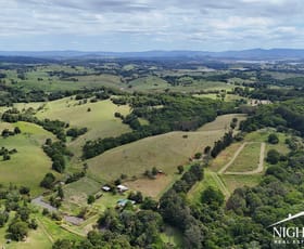 Rural / Farming commercial property for sale at 398 Eastern Connection Road Danbulla QLD 4872