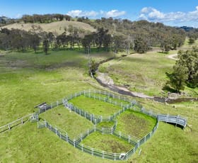 Rural / Farming commercial property for sale at "The Basins Nth" Chilcotts Creek Road Willow Tree NSW 2339