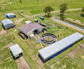 Rural / Farming commercial property for sale at 60 OLEARYS LANE Harlin QLD 4314