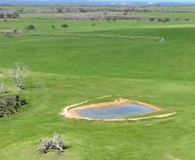 Rural / Farming commercial property sold at 2448 East West One Highway Newland SA 5223