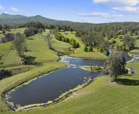 Rural / Farming commercial property for sale at 703 Brays Creek Road Brays Creek NSW 2484