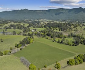 Rural / Farming commercial property for sale at 703 Brays Creek Road Brays Creek NSW 2484