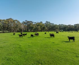 Factory, Warehouse & Industrial commercial property leased at 2/8 Ketch Close Fountaindale NSW 2258