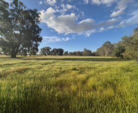 Rural / Farming commercial property for sale at 50 Ramage Road Violet Town VIC 3669