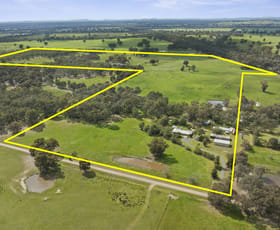 Rural / Farming commercial property for sale at 50 Ramage Road Violet Town VIC 3669