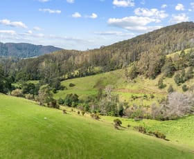 Rural / Farming commercial property for sale at Lot 1 Forest Lodge Road Pyengana TAS 7216