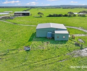 Rural / Farming commercial property for sale at Lot 1/105 Setfords Buffalo VIC 3958