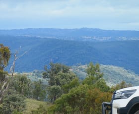 Rural / Farming commercial property for sale at 212 Mole Station Road Woodside NSW 2372