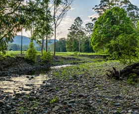 Rural / Farming commercial property for sale at 755-817 Bellthorpe Range Road Stanmore QLD 4514